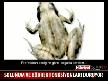 6 Ay �l� Kal�yor Sonra Diriliyor ilgin�