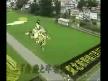 Japonlardan pirin� sanat�