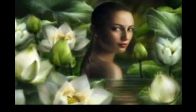 SECRET GARDEN