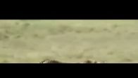 Av�n� b�yle par�alad�