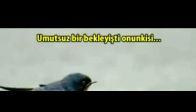 Ger�ek bir a�k hikayesi