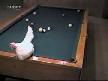 Tavuktan merakl�s�na bilardo dersi