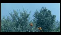 Zeki M�ren - A�lama De�mez Hayat