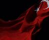Mersinli Ahmet BAYRAK İNMEZ İNDİREMEYECEKSİNİZ