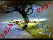 ADNAN TAYFUN GECEN�N B�R YARISI
