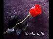 sen