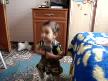 gelecegin �akiras�