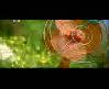 DEMET AKALIN EVL� MUTLU COCUKLU