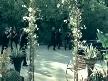 10 years beautiful dvd rip 264x 2008