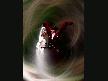 izin alda gel �ld�m yar...