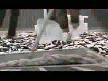 ilgin� 100.000 domino