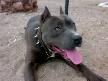 ares:)) cenk