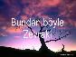 Zevrak,-Bundan böyle