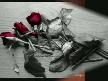feridun d�za�a� => �eni ��rakma