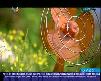 Demet Akal�n Evli_ Mutlu_ �ocuklu Video Klip