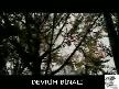Bu �ark� Bizim Olsun Kore K�ss G�r�nt�leriyle