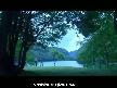 haevenly forest - japon a�k filmi