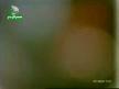 �mit Besen - d�nya g�zeli