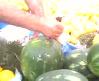 kad�k�y-sal� pazar�- karpuzcu:)
