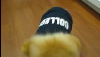 d�nyan�n en tatl� k�pe�i