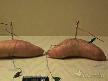 patates mp3 �ald�r�yor