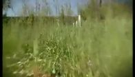 Hor Bakma Sen Topra�a - (�LAH�)
