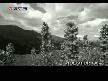 Kaz�m Koyuncu