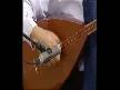 erol parlak.mezar aras�nda :((