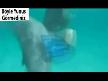 En �apk�n yunus