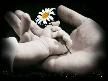 ankaral� do�an--BABAM