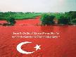 U�ur Arslan - Sakarya T�rk�s�