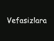 ZEKi ERDEM / SENiN ADIN VEFASIZ
