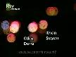 Aliye 62.B�l�m 1.K�s�m
