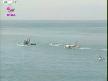 G�lbeyaz 26.B�l�m Final 5.K�s�m