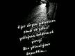 tirpan_24
