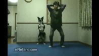 Sporcu k�pek