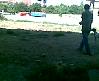 pa�a ferma