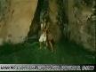 arog rak�n�n bulunmas�